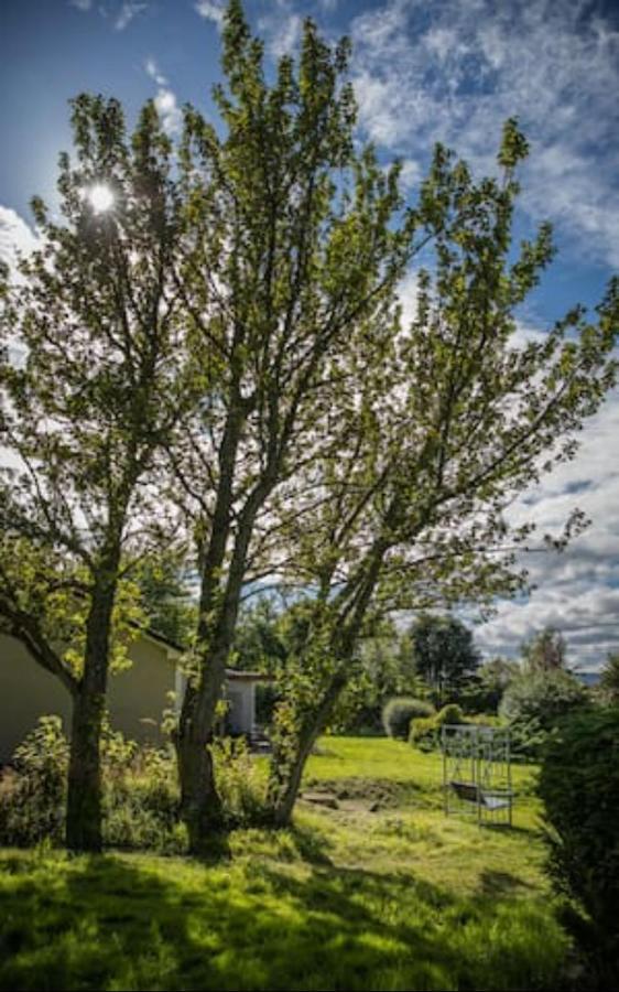 Home Comforts In Peaceful 2 Acres Inverness Exterior photo